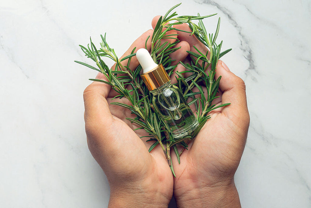 Hands holding rosemary plant and hair growth oil