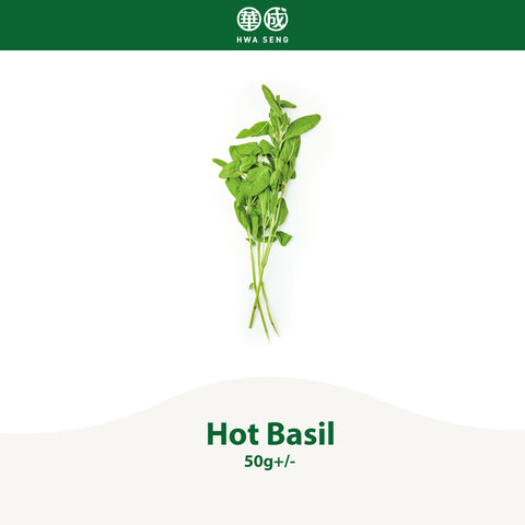 Sweet Basil 50g Hwa Seng Vege Fruits Supplier