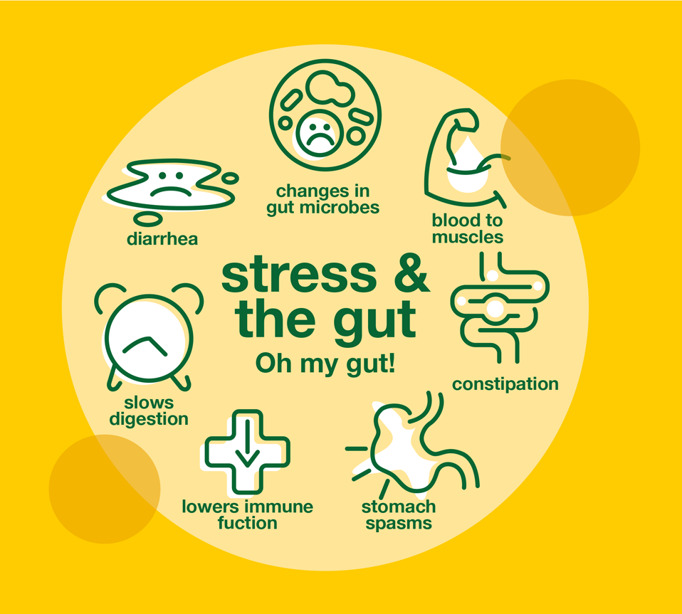 Gut health and stress management