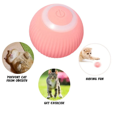Electric Cat Automatic Rolling Ball
