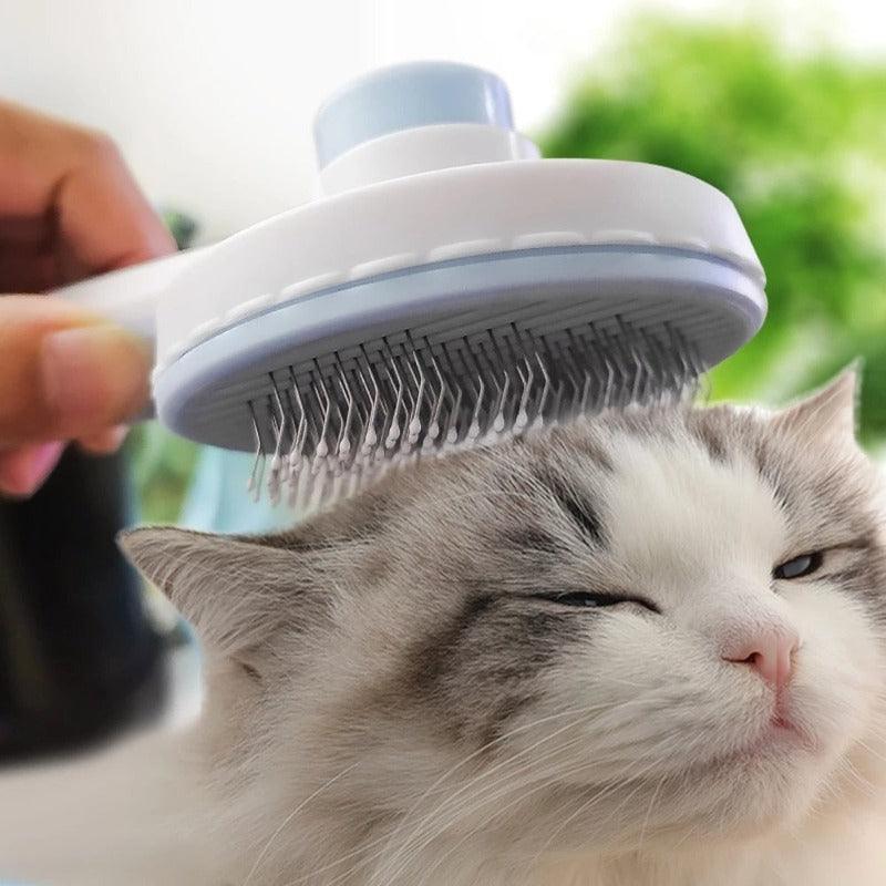 Cat & Dog Hair Removing Comb – Cloud Discoveries