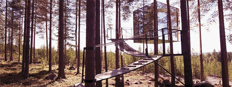 TREE HOTEL – Norrbotten County, Sweden