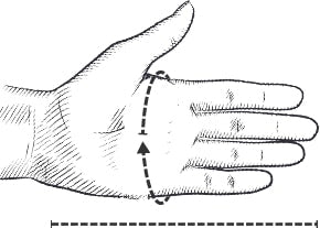 Hestra Hand Measurement Guide
