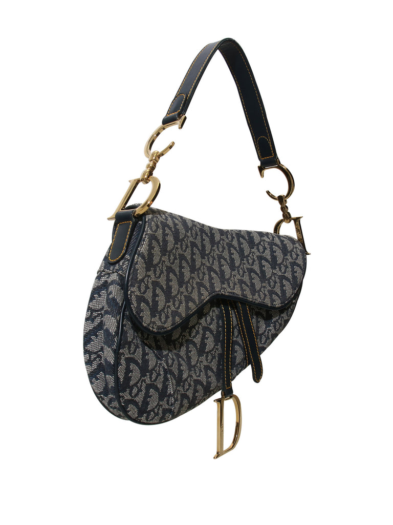 dior saddle bag canvas