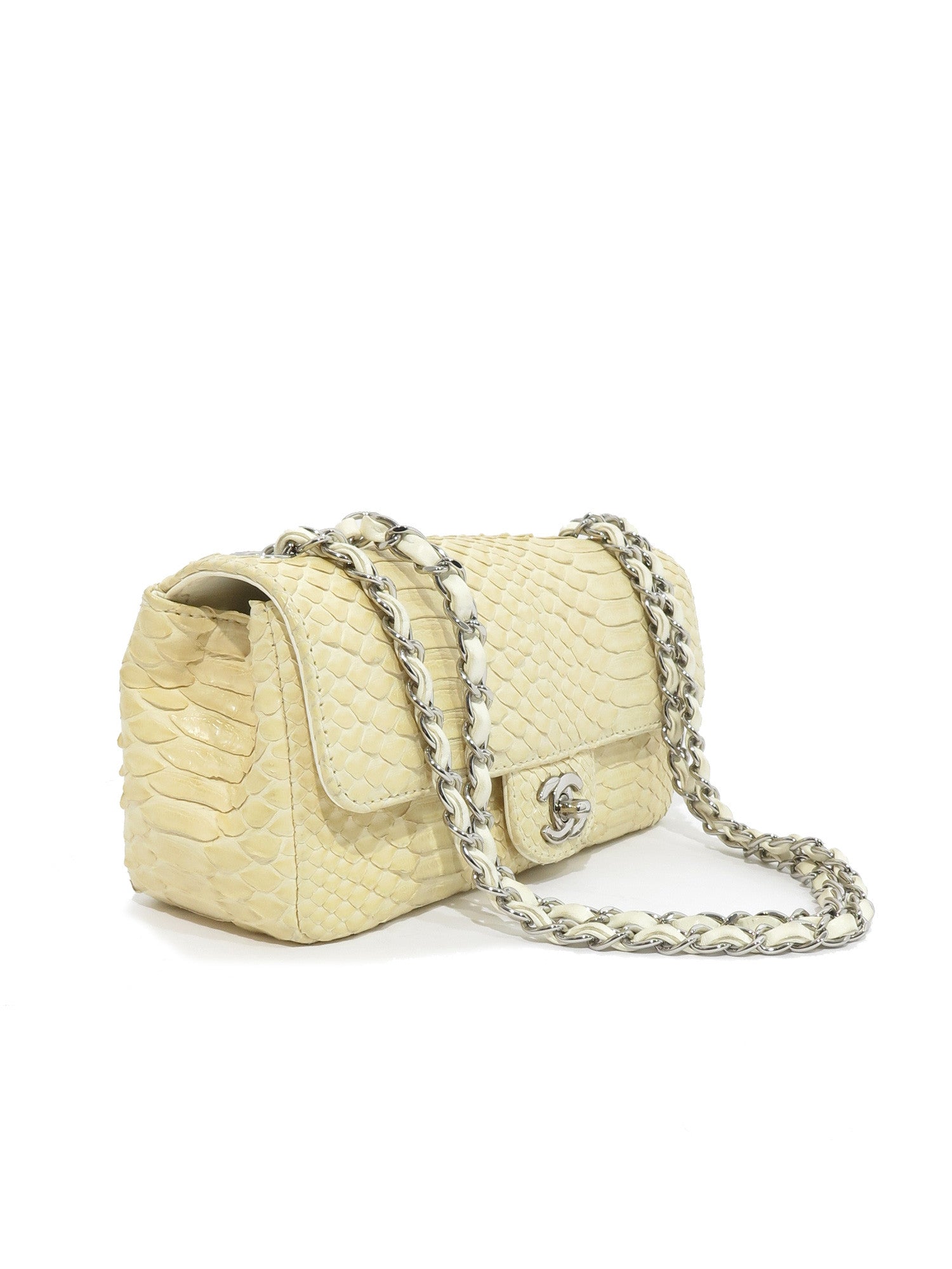 Pre-owned Chanel Snakeskin Flap Bag – Sabrina's Closet