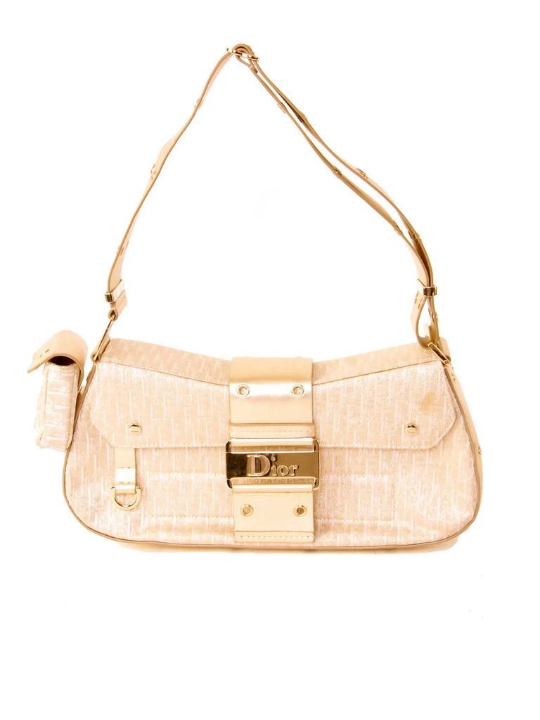 Pre-owned Christian Dior Metallic Canvas Logo Bag | Sabrina&#39;s Closet