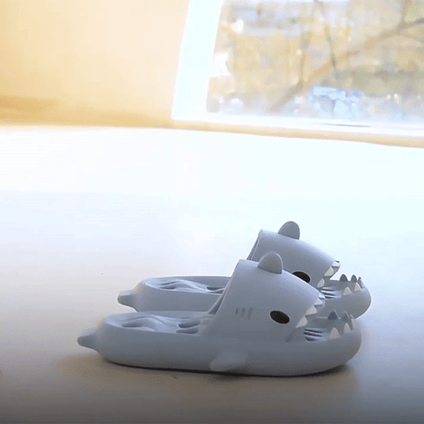 Unisex Flip Flops Slippers - Buy Unisex Flip Flops Slippers online in India