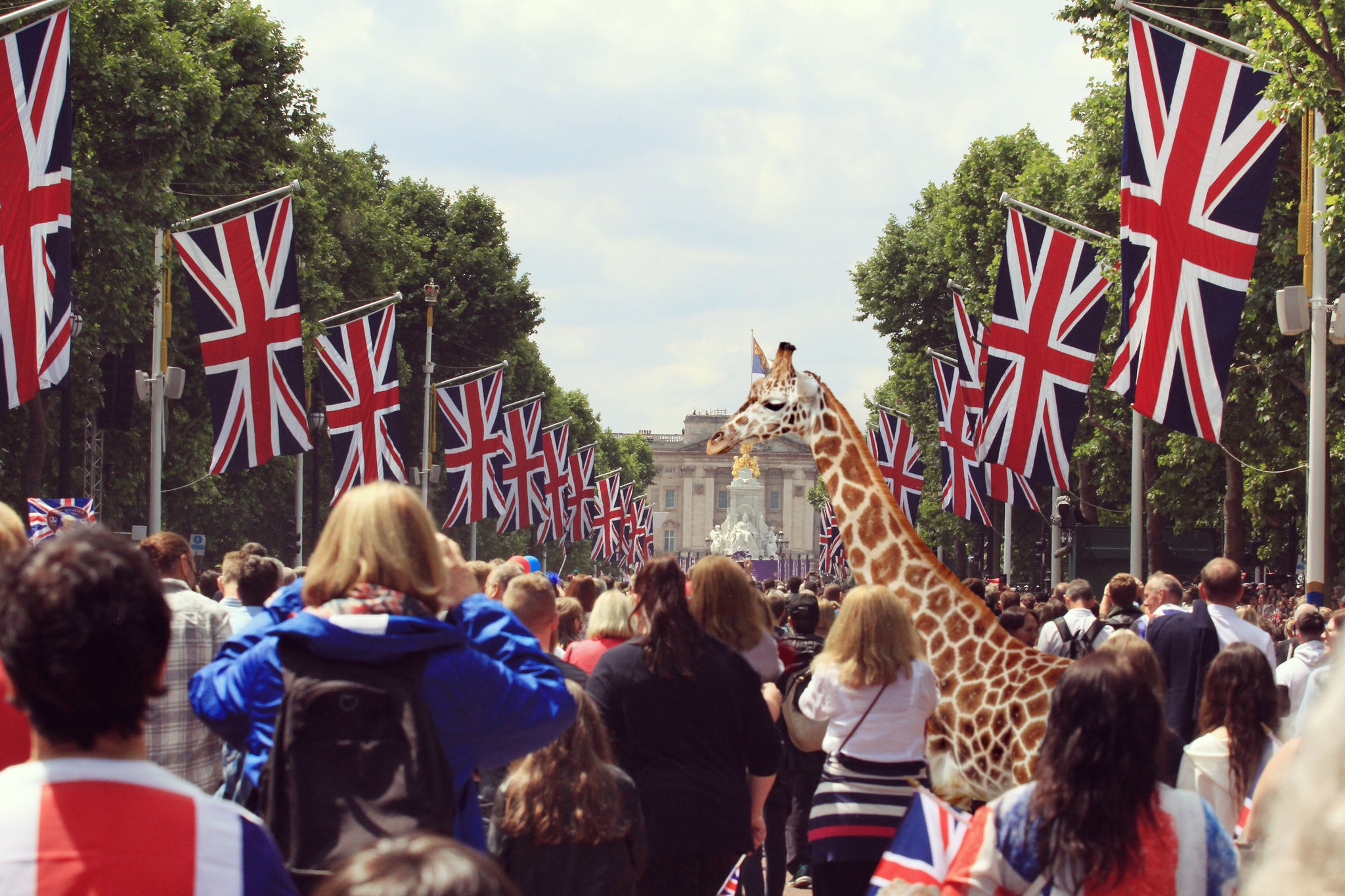 Sophie's fascination with the royals. A coronation occurs just once every generation. Along the procession route in London, Sophie meets admirers and critics. 