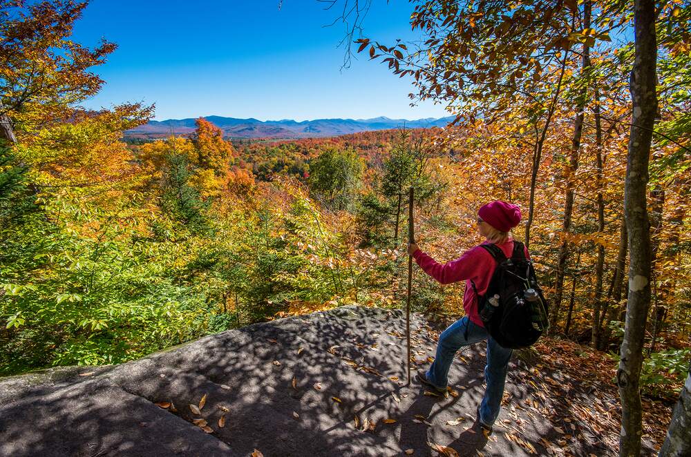 Fall foliage colors