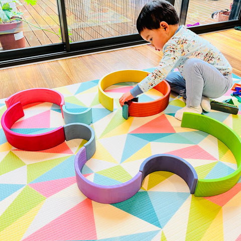 Montessori Educational Toys