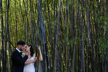 Wedding couple surrounded by bamboo trees