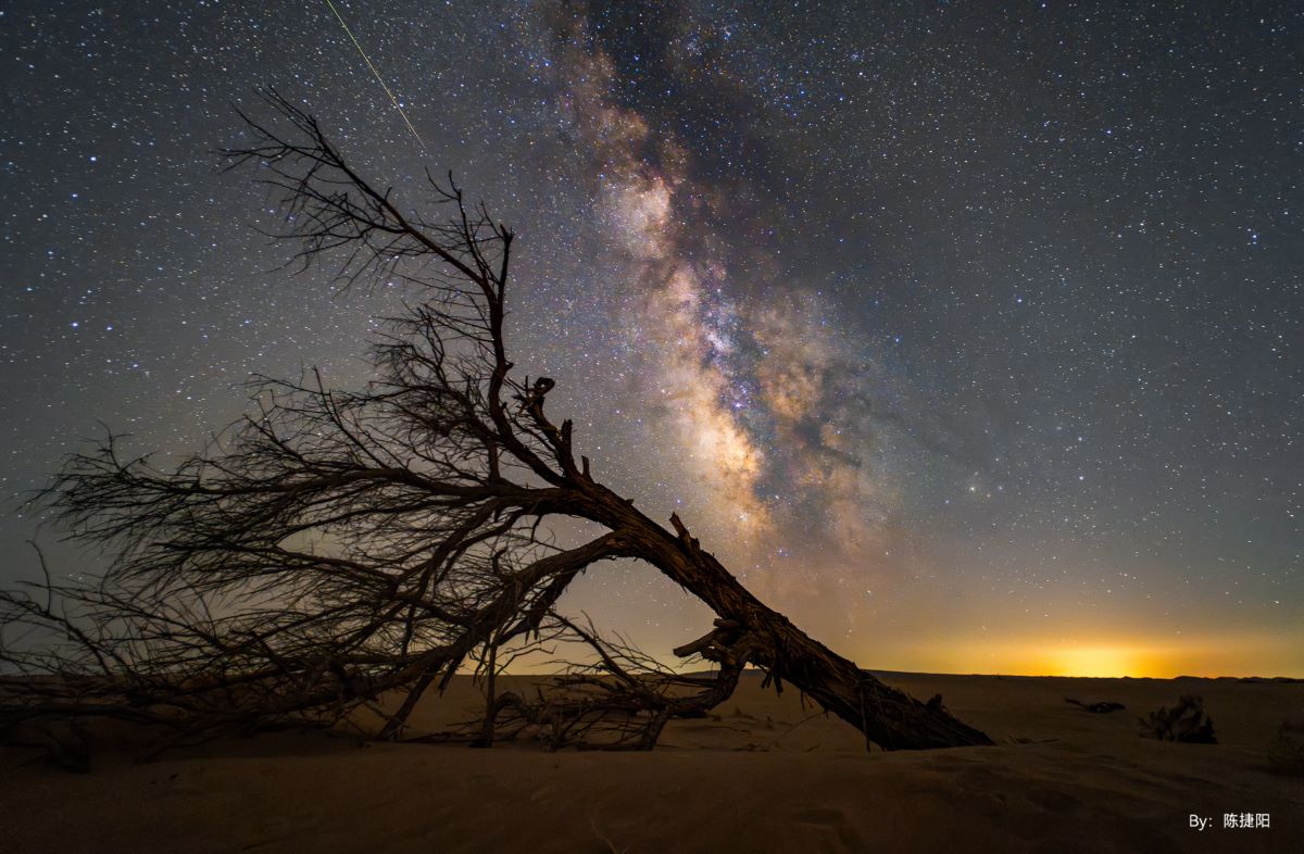 Night shoot of stars and tree in the field using the TTARTISAN 10MM F2 APS-C lens