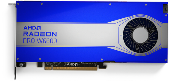 AMD Radeon Pro W6600 Graphic Card