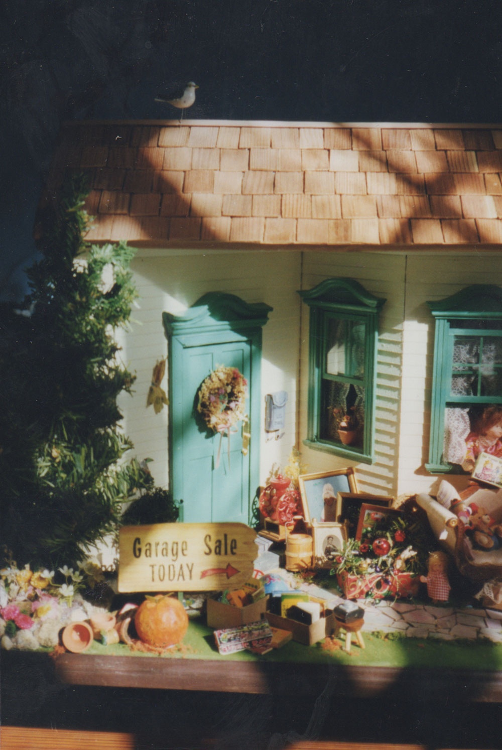 Honorable Mention - Janet D’Amato
