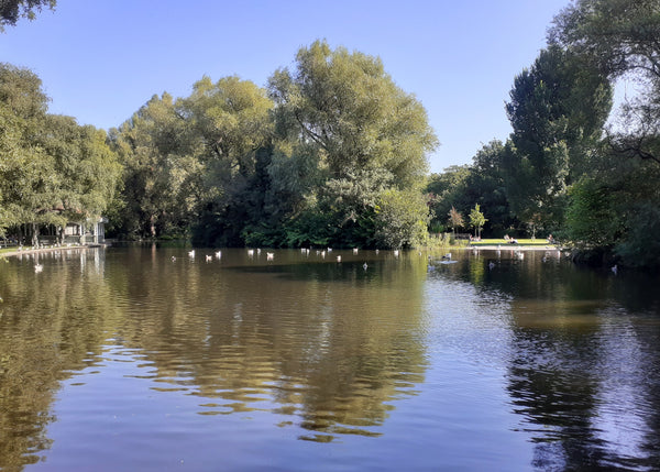 Grafton Street Dublin | St. Stephen's Green | Ireland | Irish Parks