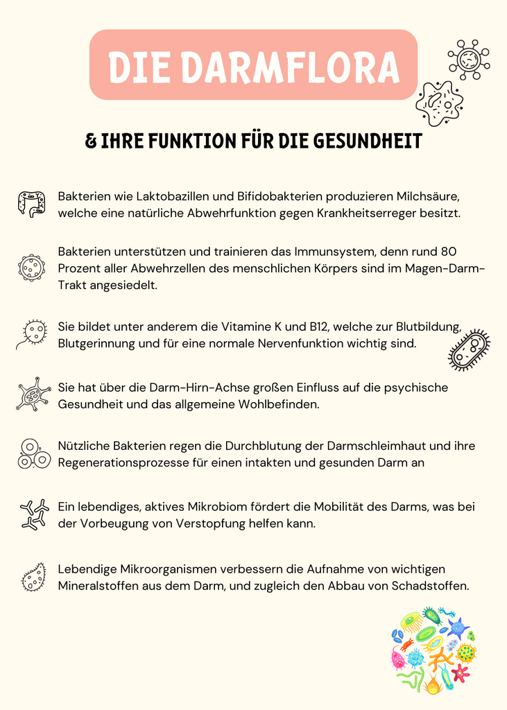 Funktionen der Darmflora