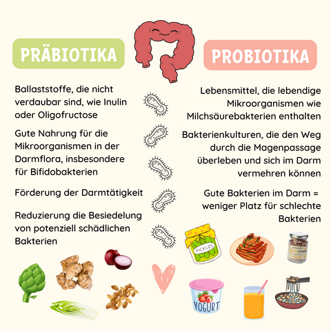 Unterschied zwischen Präbiotika und Probiotika