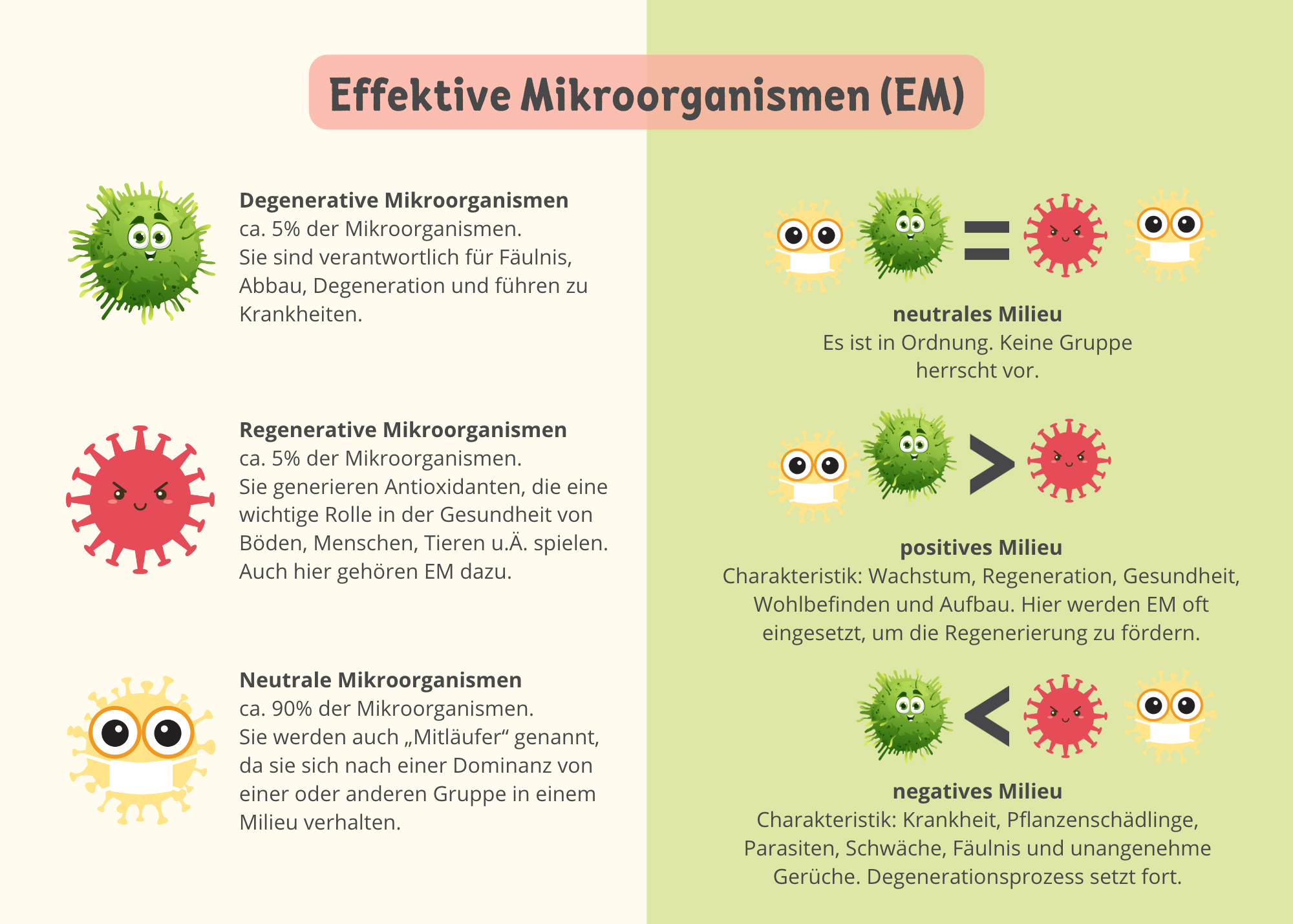 Was sind effektive Mikroorganismen? 