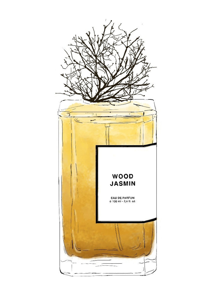 schraper Terugbetaling Email BDK Parfums PARIS Wood Jasmin | Beauty by Kroonen