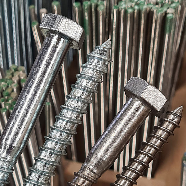 Coach Screws from Fusion Fixings showing the hex head and coarse thread for a strong hold when used in wood and larger timber projects
