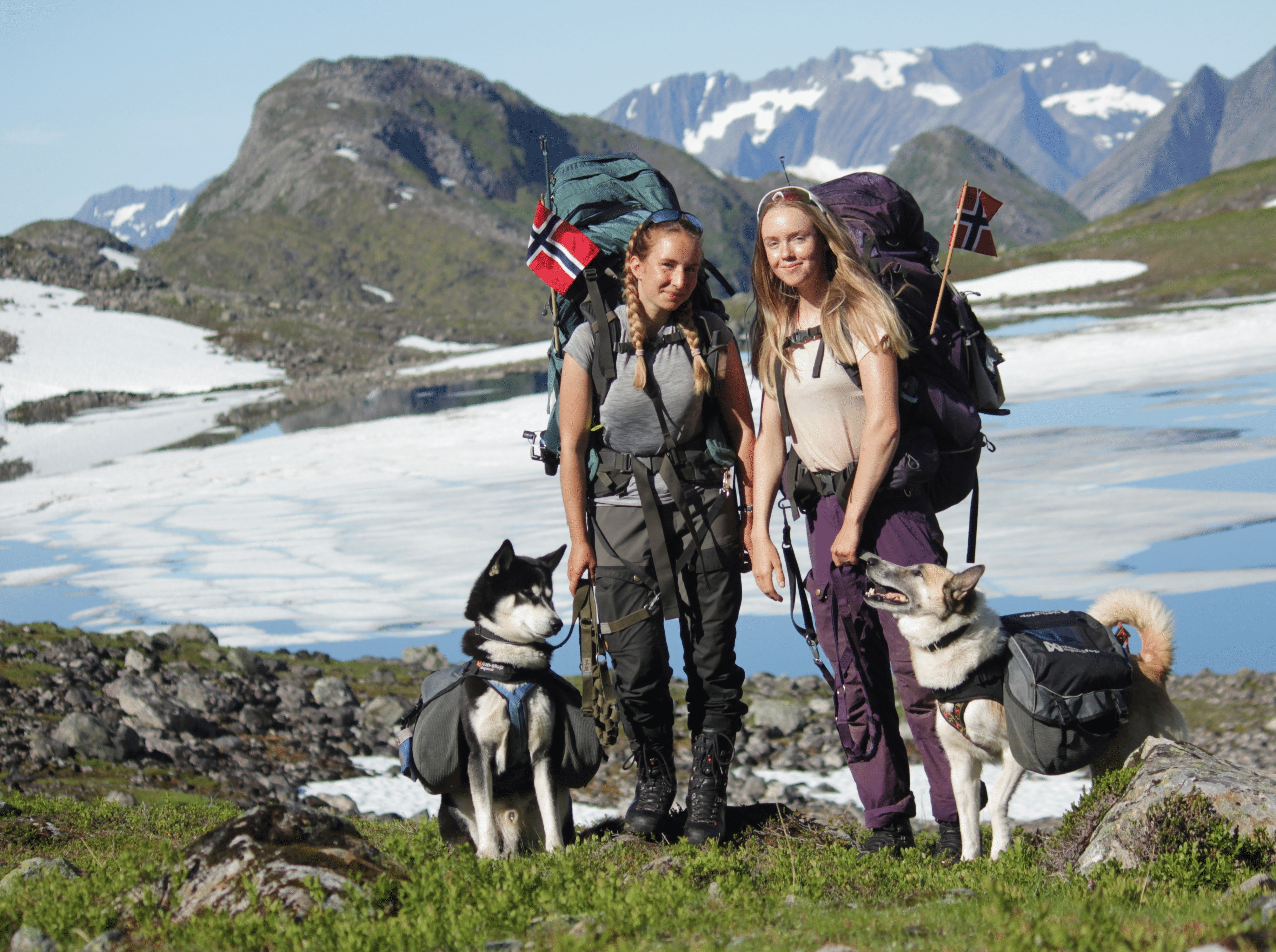 Two dogs in the mountains with two humans all wearing outdoor gear appropriate for their adventures.