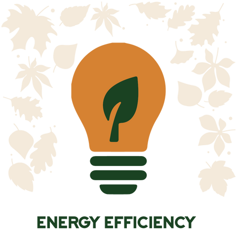 Energy Efficiency