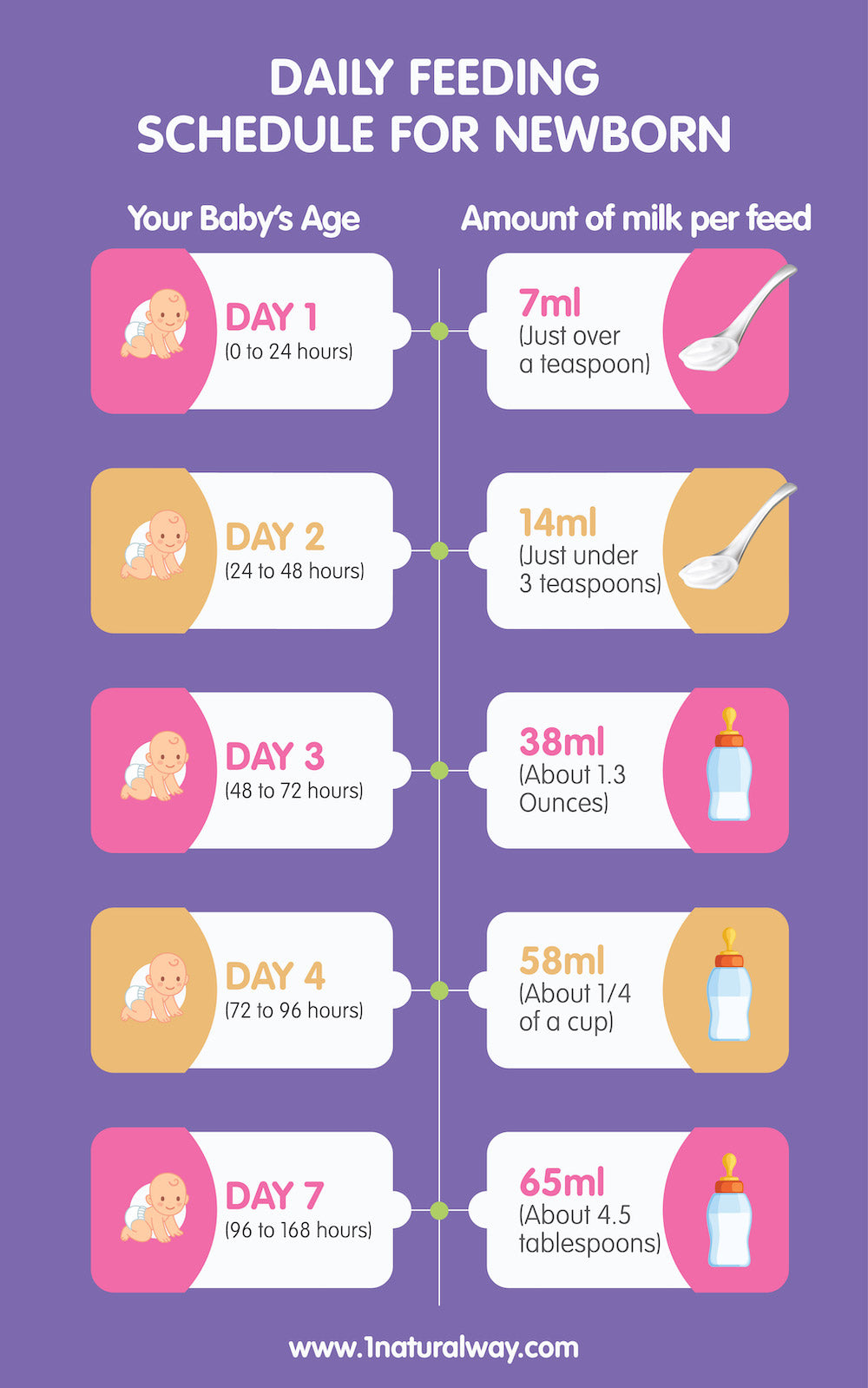 Breastfeeding Timeline: Know What to Expect | 1 Natural Way