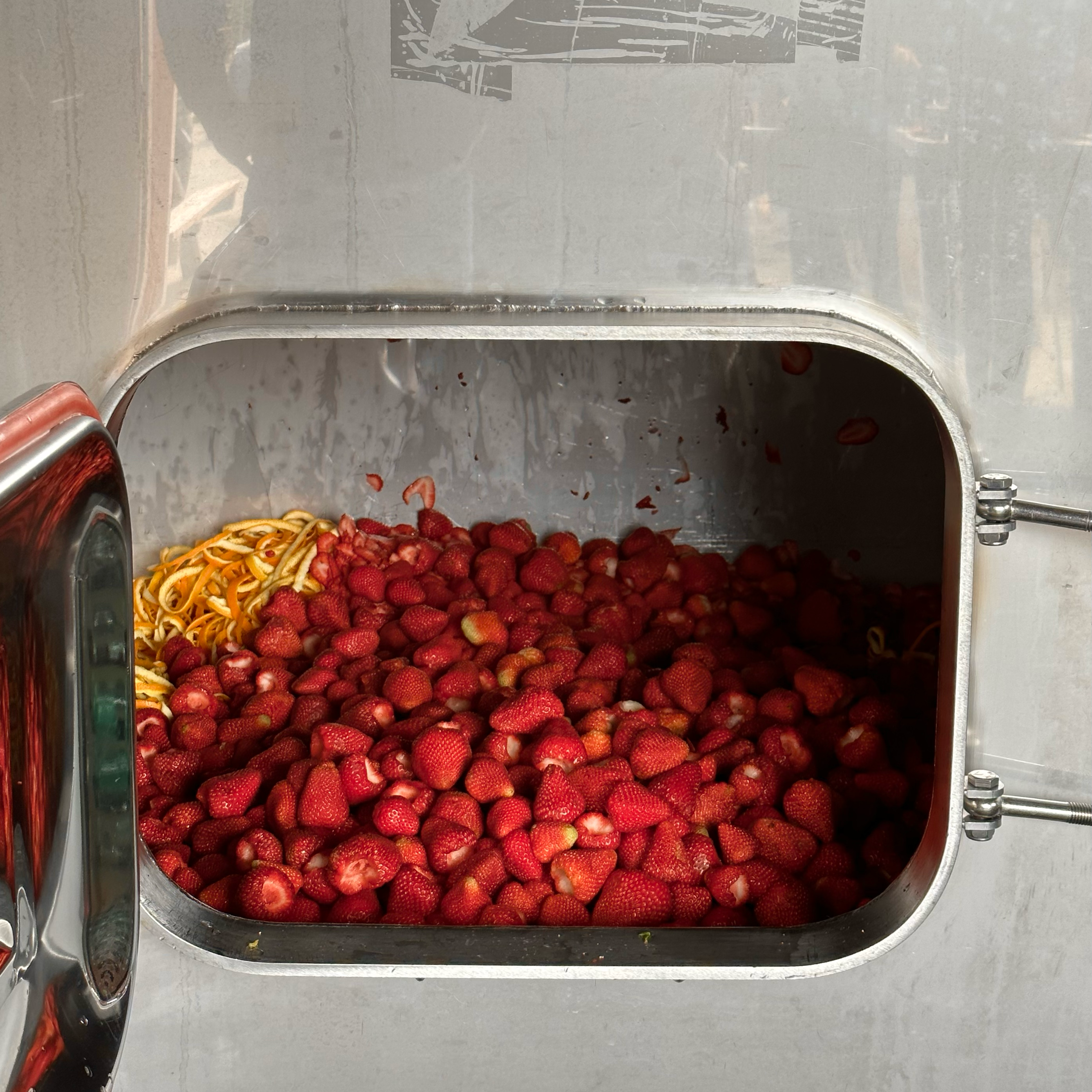 strawberries in tank.png__PID:bf809bb8-5d51-455b-aa91-421b208d9e92