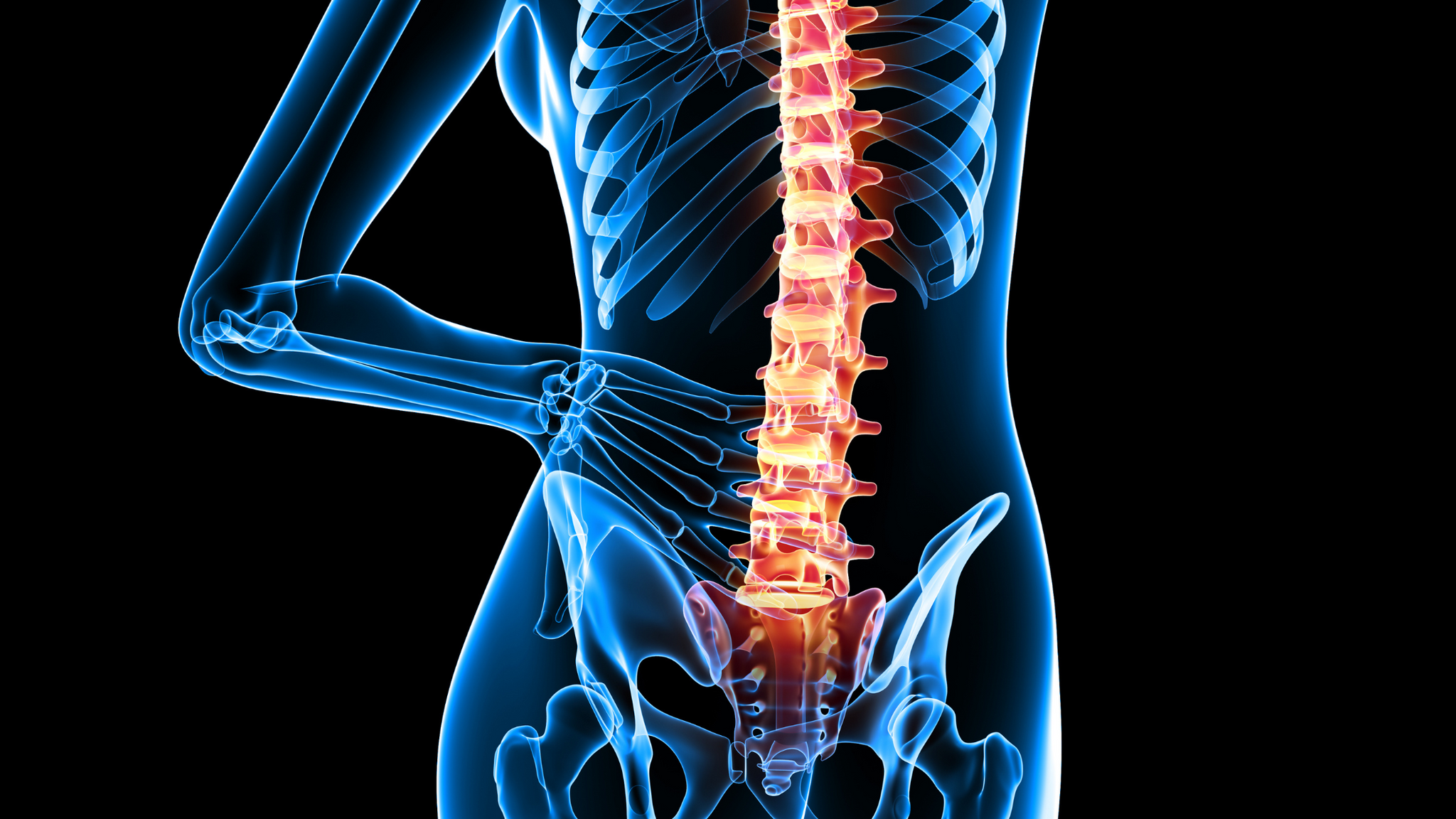 Anatomy and Physiology  Understanding the unique anatomical and physiological differences between males and females can provide valuable insights into why women may be more prone to lower back pain. Women tend to have a wider pelvis and a greater degree of lumbar lordosis (the inward curve of the lower spine), which can place additional strain on the lower back muscles and ligaments.