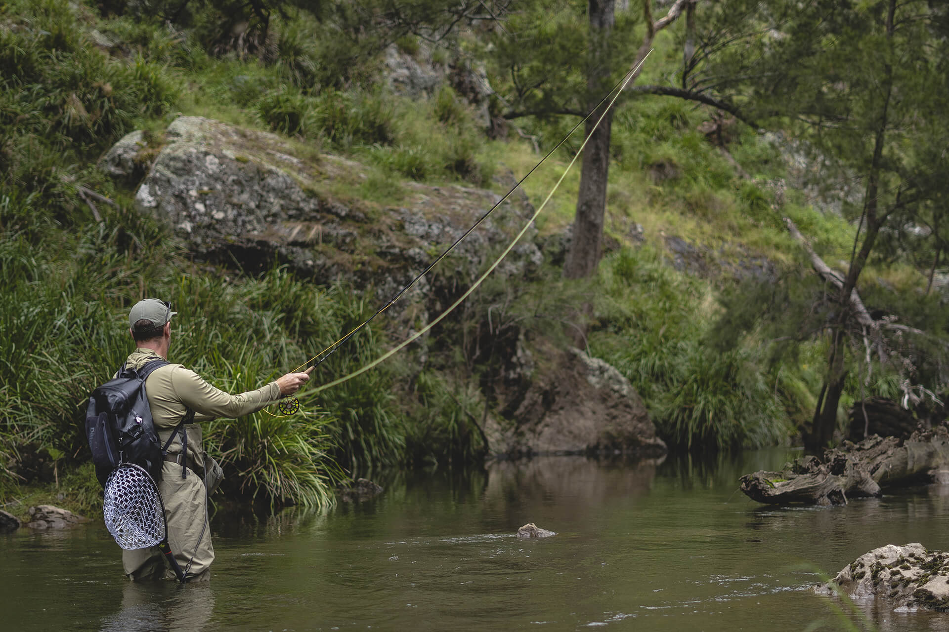 Norfolk Wild Trout Fly Fishing NSW