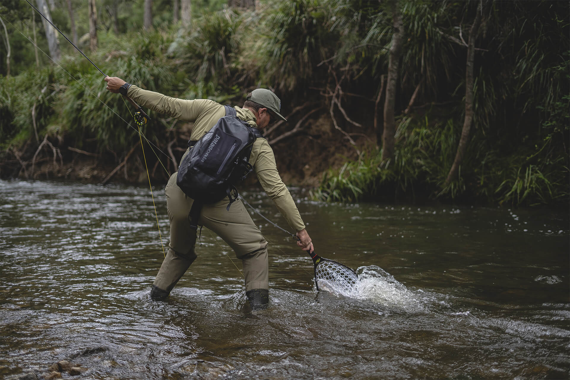 Norfolk Wild Trout Fly Fishing NSW