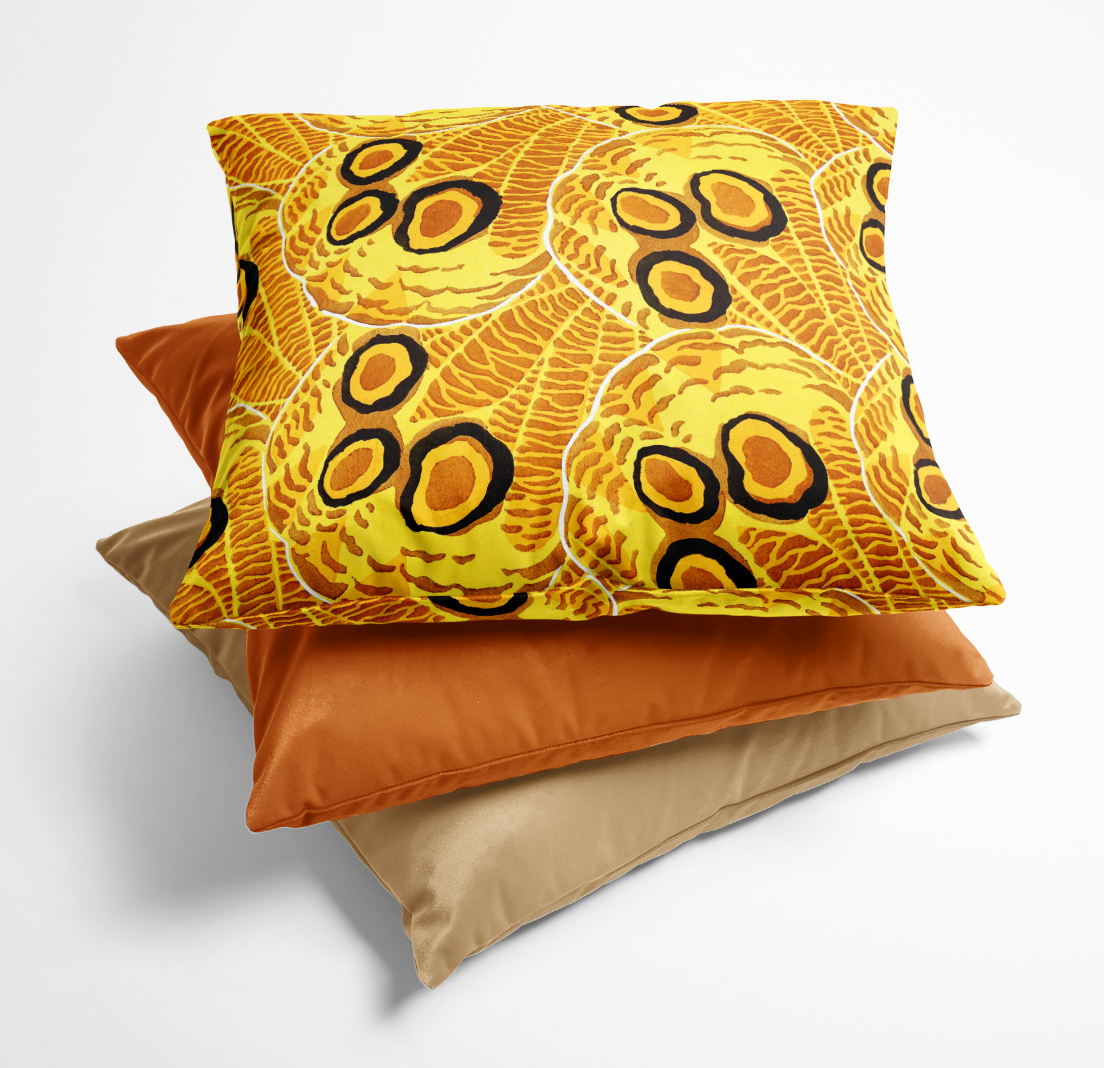 cushion covers and coloured cushion covers