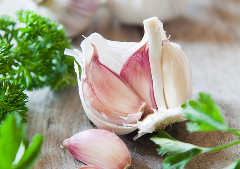 garlic healthy foods for your gut axisbiotix