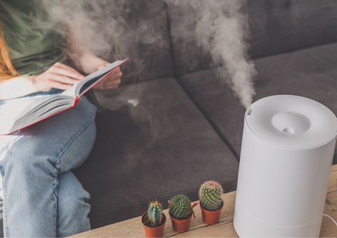 humidifier for symptoms of dry skin