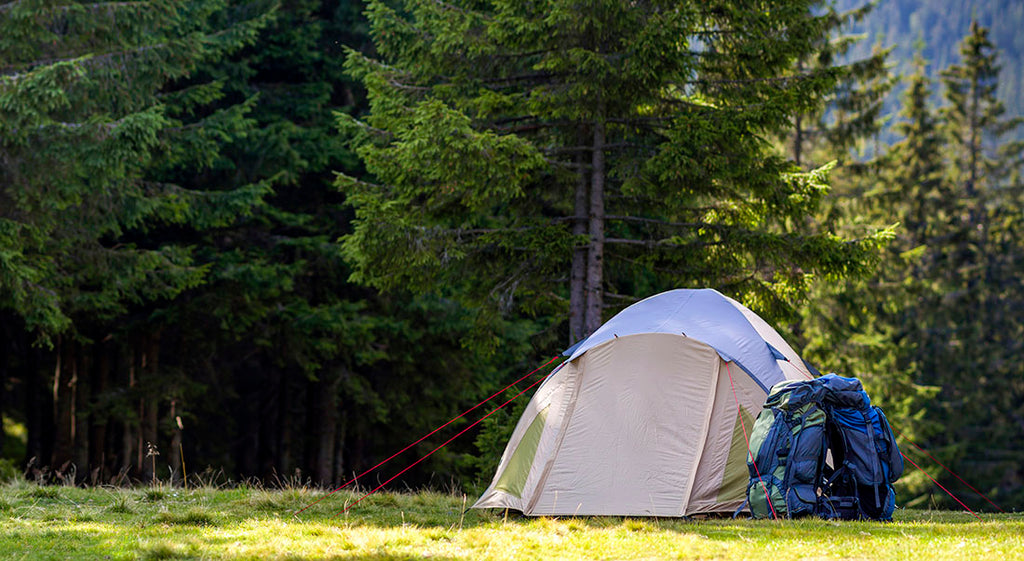 Tent set up in a pasture.