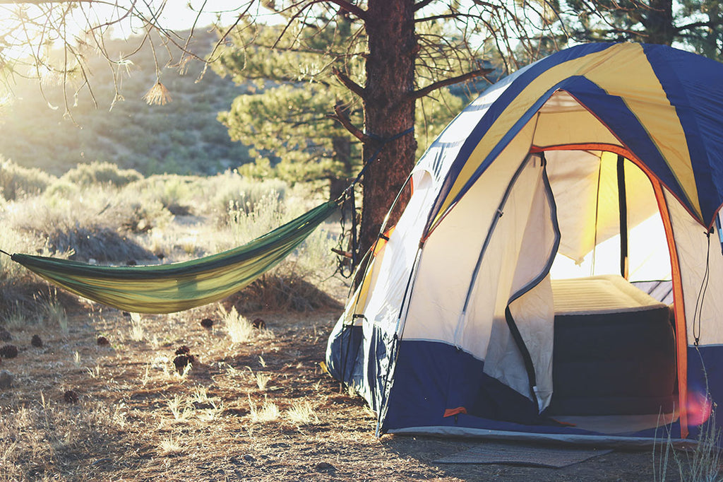 A tent and hammock at a campsite