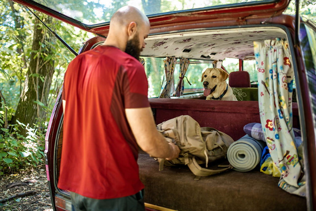 A dog and its owner on a car camping trip