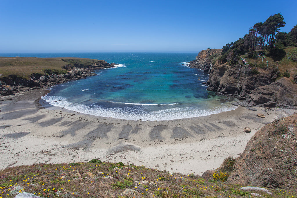 Fisk Mill Cove view