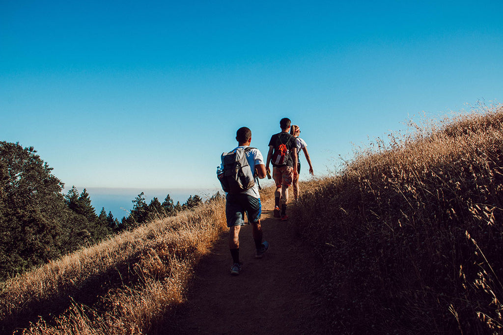 Three hikers on a trail