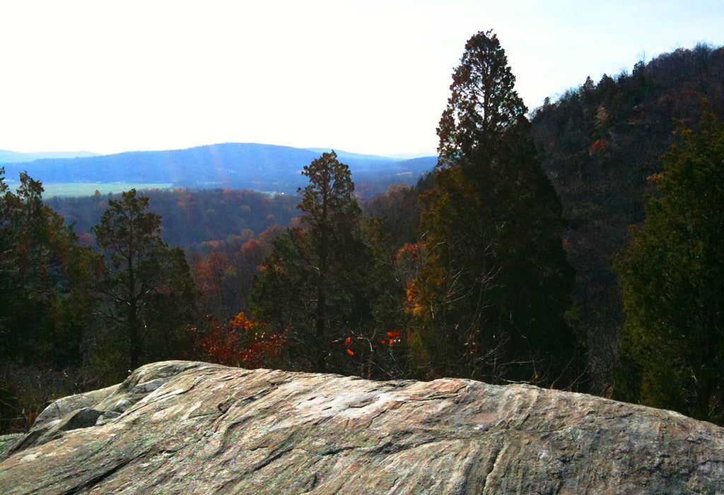 A view from the top of Jenny Jump Mountain