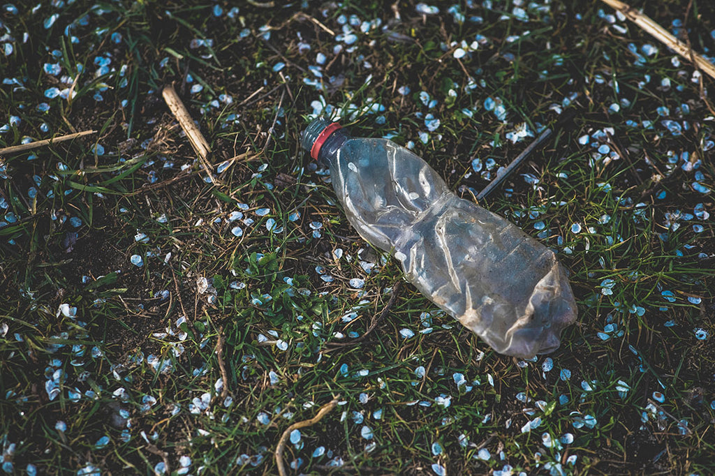 Plastic bottle polluting a green meadow