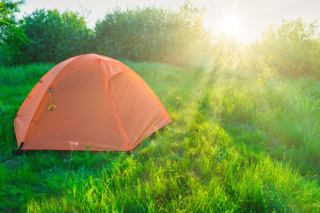 A clean tent set up in a field.