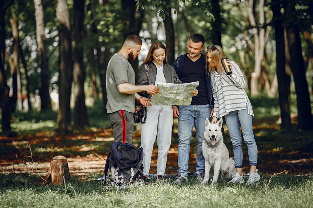 A group of friends with a dog checking the map