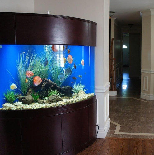 Corner fish tanks sales for sale