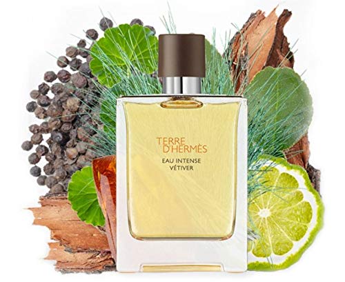 HERMES Terre D'Herm Eau Intense Vetiver Eau De Parfum for Men, 3.4 Ounce