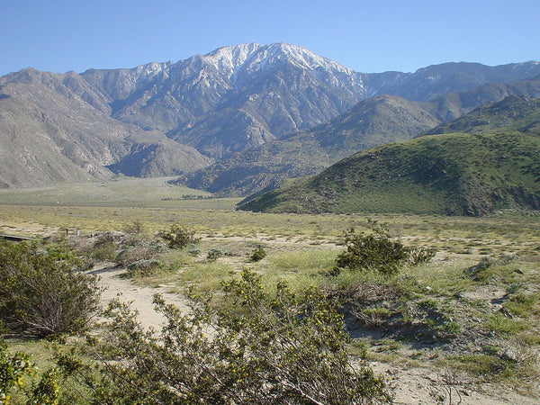 Santa Rosa And San Jacinto Mountains