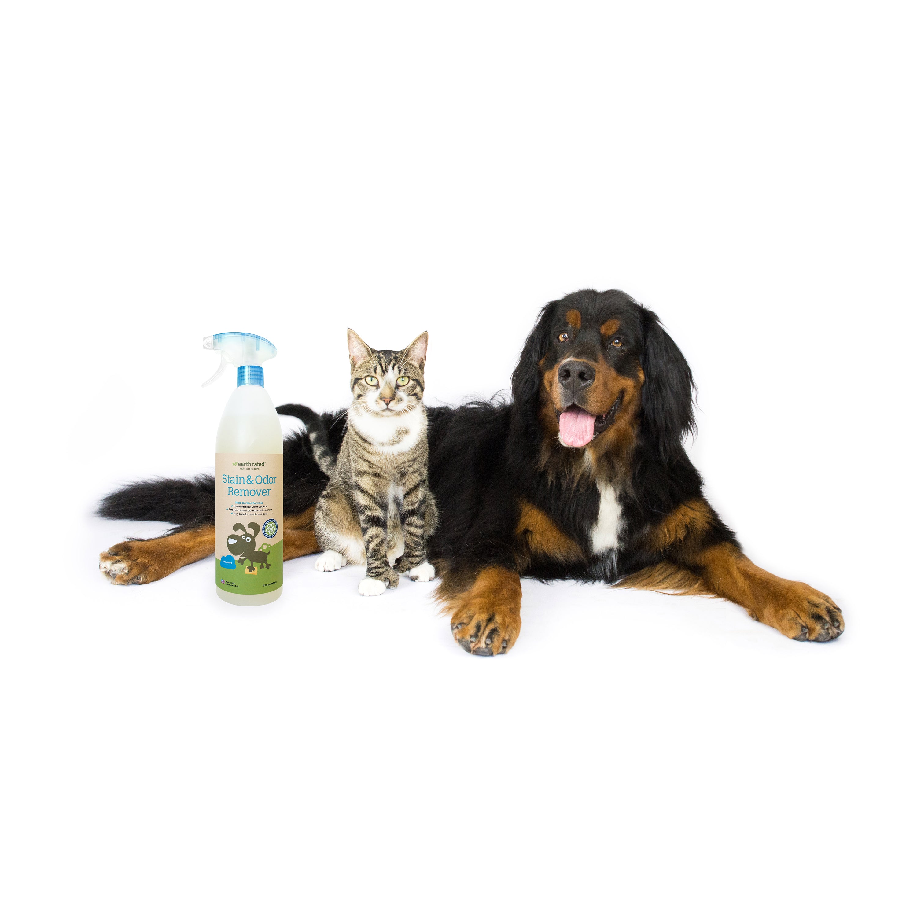 Pet Stain and Oder remover