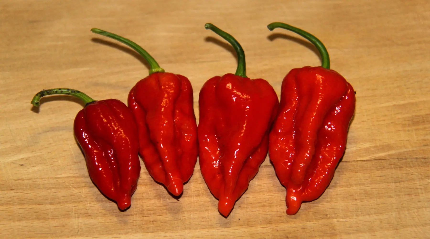 Bhut Jolokia - Scoville Scale and Heat Levels