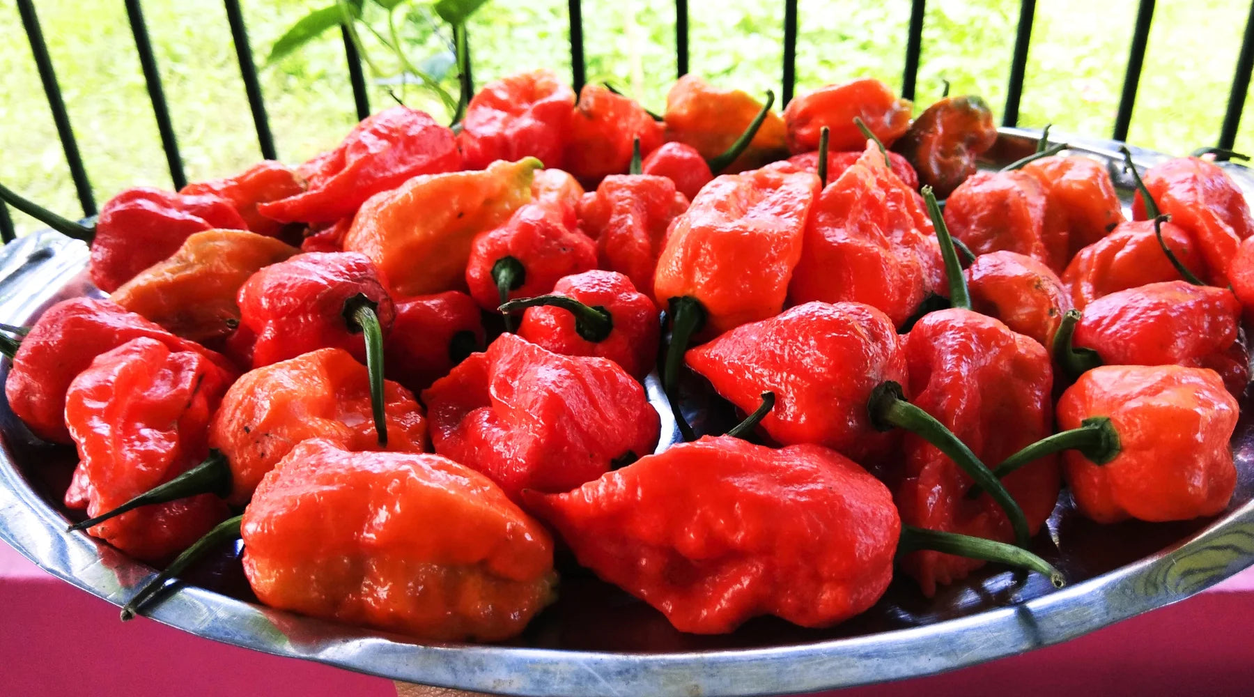 Bhut Jolokia Culinary Uses