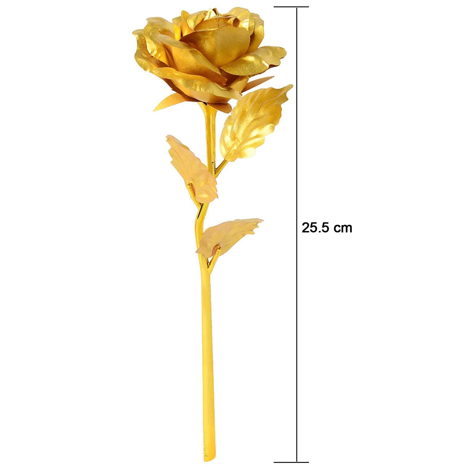 B Golden Rose used in all kinds of places like household, offices, cafe's, etc. for decorating and to look good purposes and all.